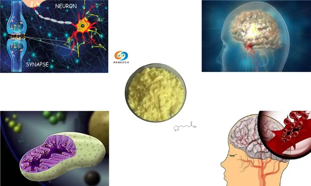 Beat Brain Fog With Alpha Lipoic Acid